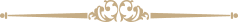 shape icon